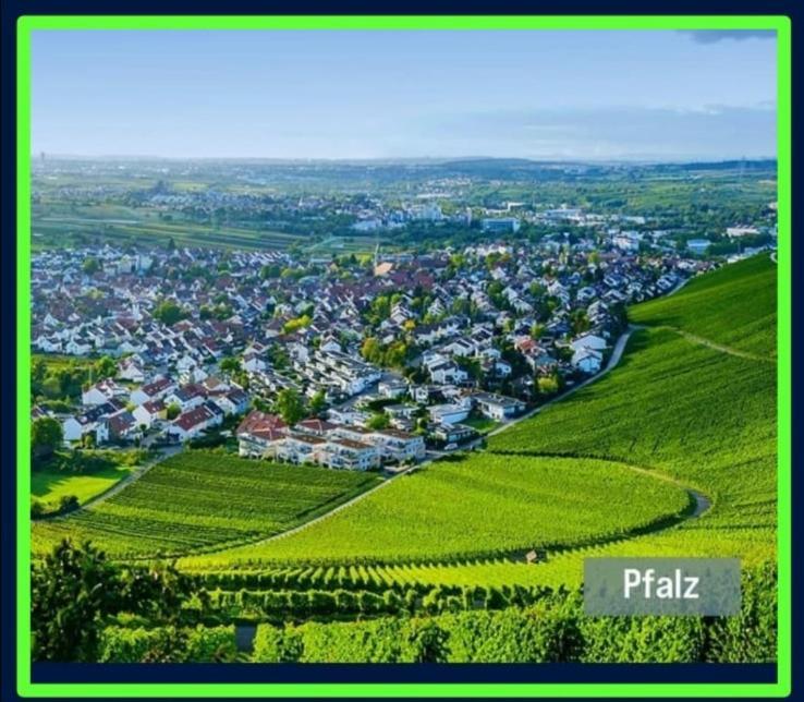 Ferienwohnung Forest & Wein Neustadt an der Weinstrasse Ruang foto